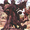 shanti4.gif